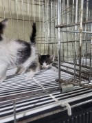 종료(자연사) 한국…